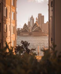 the sydney opera house is seen from across the water in front of other buildings and skyscrapers