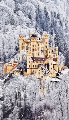 an aerial view of a castle surrounded by trees in the snow with text that reads, hohenschwag au castee, germany