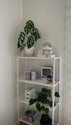 a white shelf with some plants and books on it