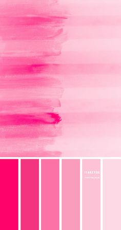 a color palette with pink and red tones