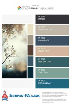 the color scheme for sheryln - williams's paint palettes is shown