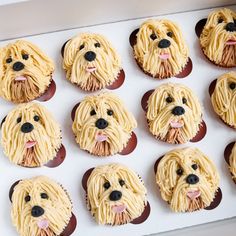 twelve cupcakes with icing in the shape of dogs'heads are shown