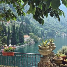 there are many potted plants on the ledge by the water's edge with mountains in the background