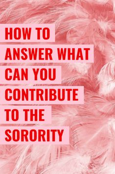 pink feathers with the words how to answer what can you continue to the sorority?