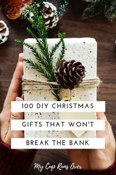 someone holding up a present with pine cones on it and the words, 100 diy christmas gifts that won't break the bank