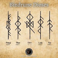 the different types of bindrune disses