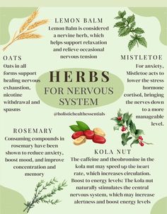 herbs for nervous system info sheet