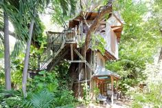 a tree house in the middle of some trees and bushes with stairs leading up to it