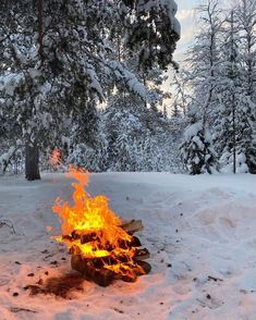 a campfire in the middle of a snowy forest