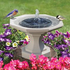 two birds are sitting on the edge of a birdbath with flowers around it