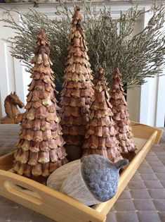 small pine trees in a wooden tray on a dining room table with a gray hat