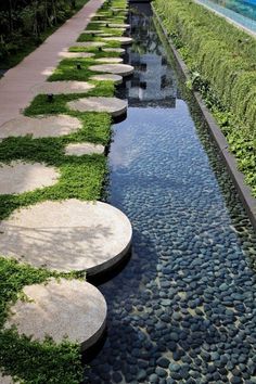 stepping stones are lined up along the edge of a water feature in a garden area