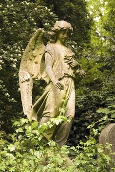 an angel statue in the middle of some bushes