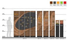 an info sheet showing the different types of wooden flooring