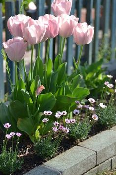 pink tulips and other flowers in a flower bed