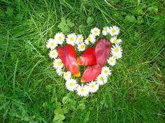 two hearts shaped like flowers in the grass with daisies