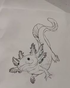 a drawing of a lizard with long legs and tail, jumping up into the air