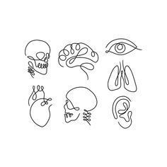 a line drawing of different types of human body parts on a white background, including the eye, nose, and head