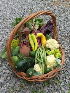 a basket filled with lots of different types of vegetables