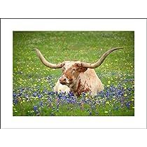 an animal with long horns is laying in the middle of a flowery field on a sunny day