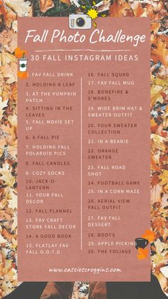 the fall photo challenge is here