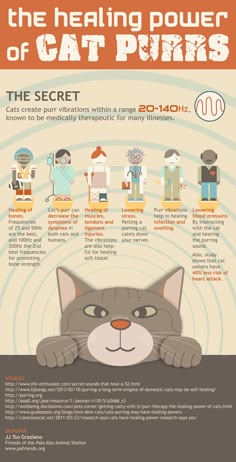 an info sheet describing the power of cat purrs