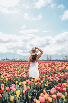 a woman wearing a hat standing in a field of tulips