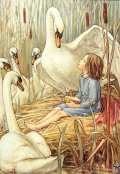 Cicely Mary Barker, The Lord of the Rushie River 강아지 그림, Fairytale Illustration, Children's Book Illustrations, Art Et Illustration