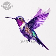 a colorful hummingbird flying through the air