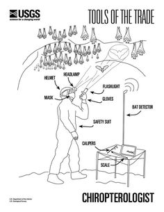 a man standing in front of a table with lots of bats on it and the words tools