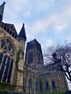 an old church with tall towers and trees in the foreground on a cloudy day