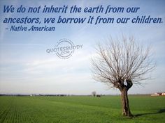 a lone tree in a field with a quote from native american on the back ground