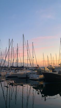 many boats are docked in the water at sunset or dawn, and one is reflecting on the water