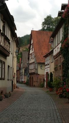 an old cobblestone street with houses and flowers on either side, in the middle of town