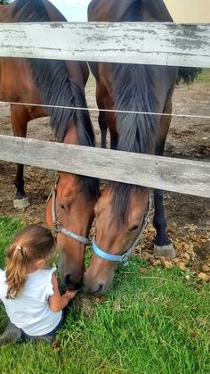 Deer Bones, Lyla Sage, Best Guard Dogs, Dream Horse Barns, Dream Future, Guard Dog, Western Life, Horse Aesthetic