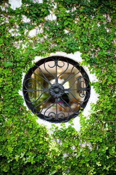 an iron window surrounded by green ivy