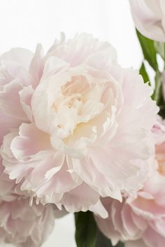 pink and white flowers are in a vase