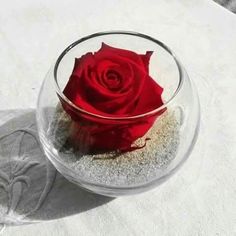 a red rose in a glass bowl filled with sand