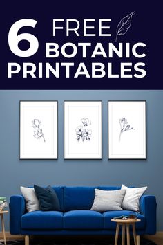 a living room with blue couches and three pictures on the wall above it that says 6 free botanical printables