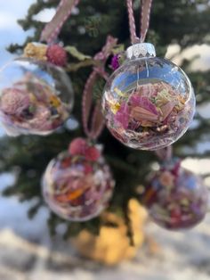 christmas ornaments hanging from a tree in the snow