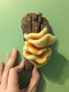 a person holding a piece of food in front of a green wall with other items on it