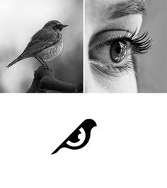 a bird sitting on top of a tree branch next to a person's eye