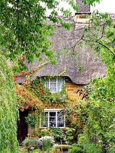 a house with a thatched roof surrounded by greenery