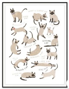 a poster with cats in different positions and names on it's back, including the cat