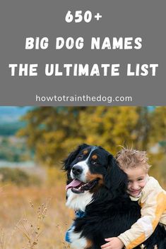 a boy and his dog are hugging in the grass with text overlay that reads, how to train your dog names the ultimate guide