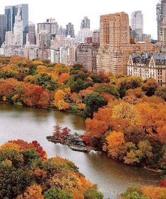 an aerial view of a river surrounded by tall buildings and trees in the foreground