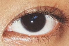 Double eyelids; epicanthic fold; small eyes; eye reference; real eyes Epicanthic Fold Eye, Brown Asian Eyes Aesthetic, Real Eye Reference, Epicanthic Fold Aesthetic, Small Eyes Aesthetic, Sanpaku Eyes Aesthetic, Asian Eyes Aesthetic, Epicanthal Fold, Dark Brown Eyes Aesthetic