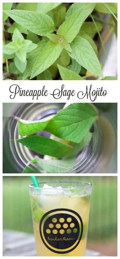 three different types of drinks with the names pineapple sage mojito