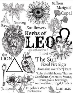 a poster with the words and symbols for leo, sunflowers, roses, heart,