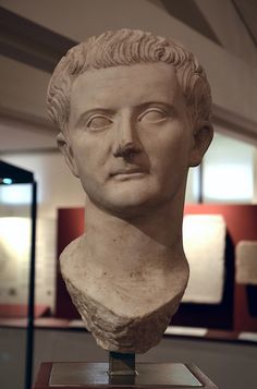 an ancient bust of a man in a museum